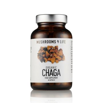 Chaga Paddenstoelen Capsules Bio (Mushrooms4Life) 60caps