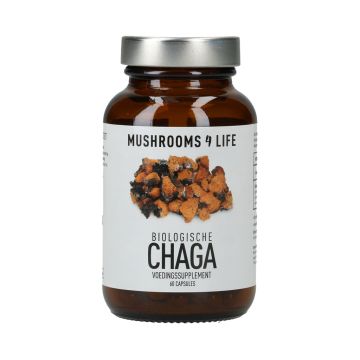 Chaga Paddenstoelen Capsules Bio (Mushrooms4Life) 60caps