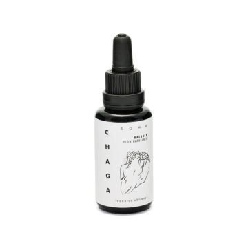 Chaga Paddenstoelen Extract Bio (KÄÄPÄ Mushrooms) 30ml