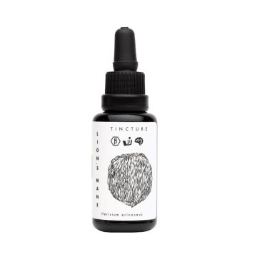 Lion's Mane Paddenstoelen Extract Bio (KÄÄPÄ Mushrooms)