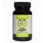 CBD Capsules (Jacob Hooy) 4% 20 mg 60 capsules