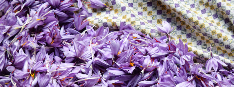 Hoe gezond is saffraan? 9 gezondheidsvoordelen