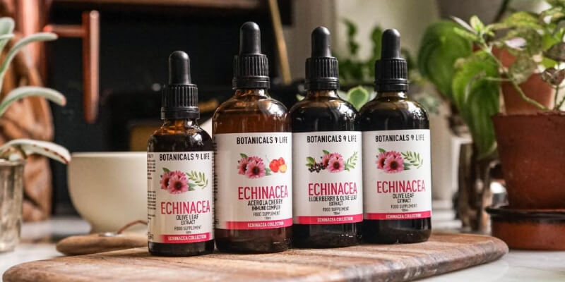 Botanicals4Life krachtige Echinacea tincturen