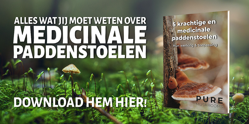 Paddenstoelengids gratis ebook downloaden medicinale paddenstoelen