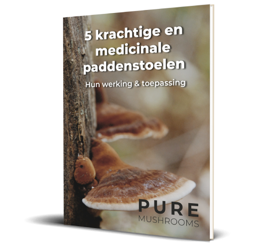 paddenstoelengids medicinale paddenstoelen pure mushrooms 2021