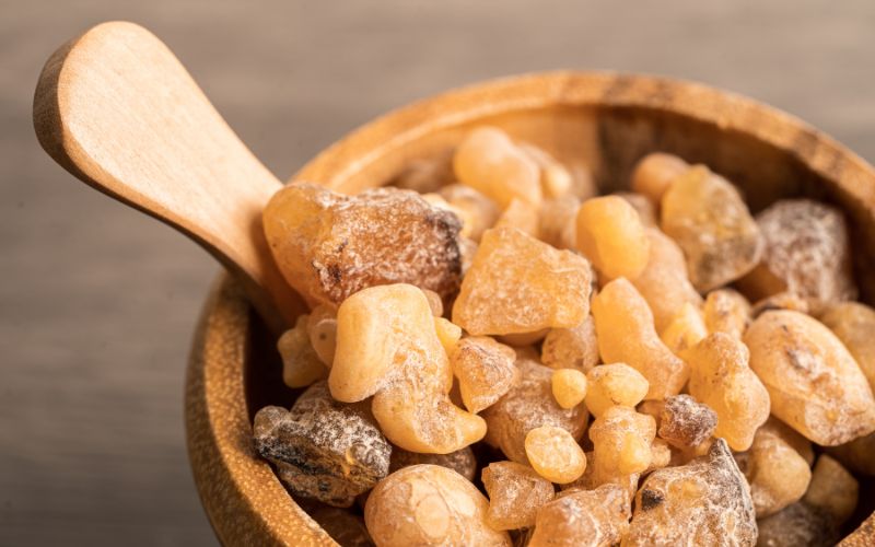 Boswellia serrata hars