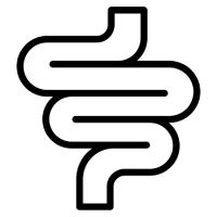 Spijsvertering